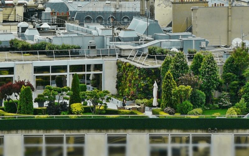 Economic and Social Advantages of Green Roofs