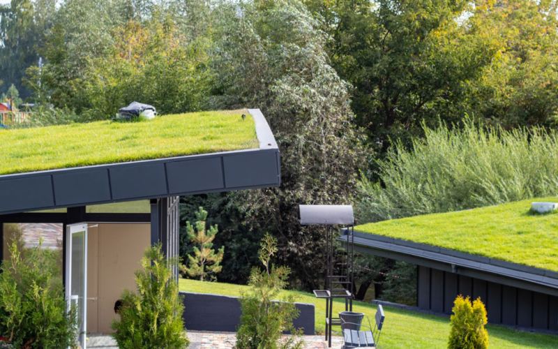 How Green Roofs Contribute to Urban Cooling?