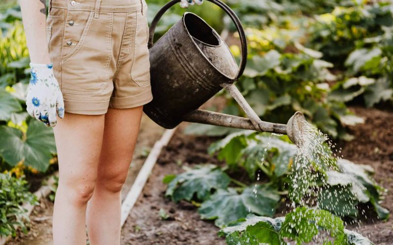 Slow Living and Sustainability