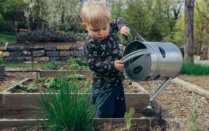 How to Start a Community Garden?