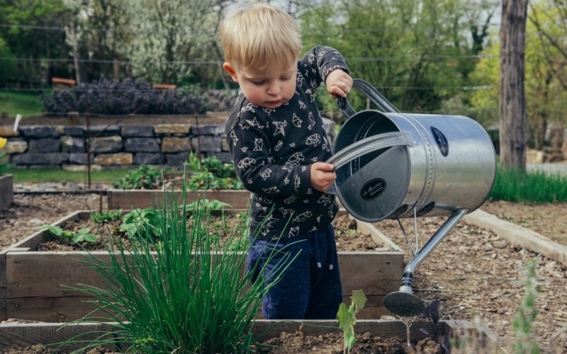How to Start a Community Garden?