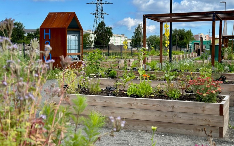 Use Sustainable Gardening Practices