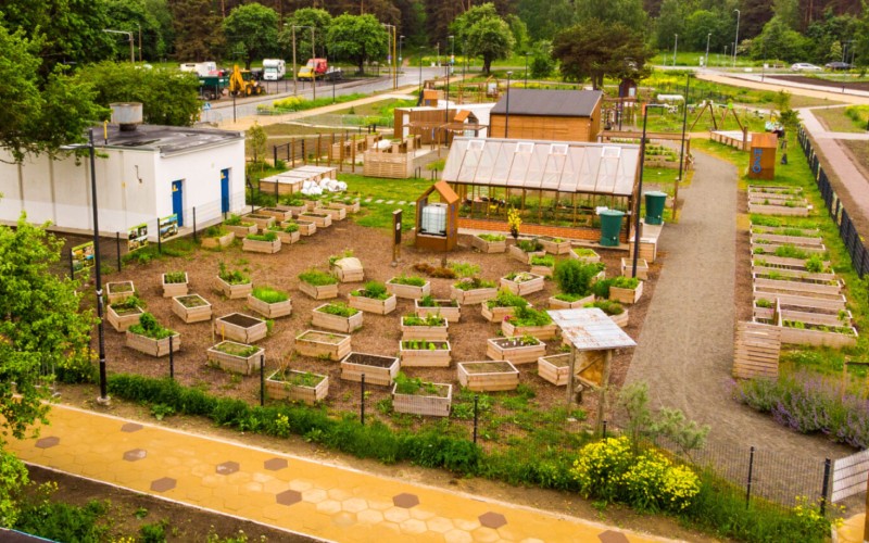 Create a Simple Garden Plan